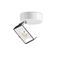 Studio Strahler von GRAU mit glänzender Oberfläche, rechteckigem Design und flexibler LED-Leuchte für modernes Lichtkonzept.