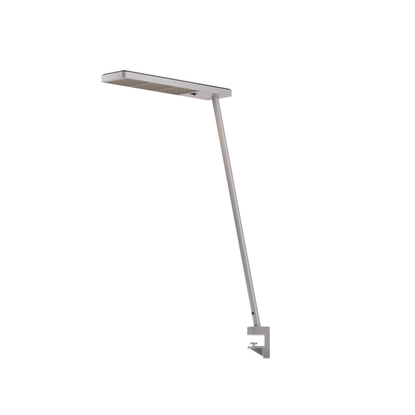 Xt-a Single Schreibtischleuchte mit dreh- und schwenkbarem Leuchtkopf in gemischtem Farbton satin und schwarz von GRAU