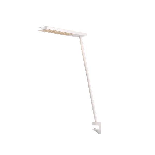 Xt-a Single Schreibtischleuchte mit Klemme und rundem Leuchtenschaft in weiß von GRAU