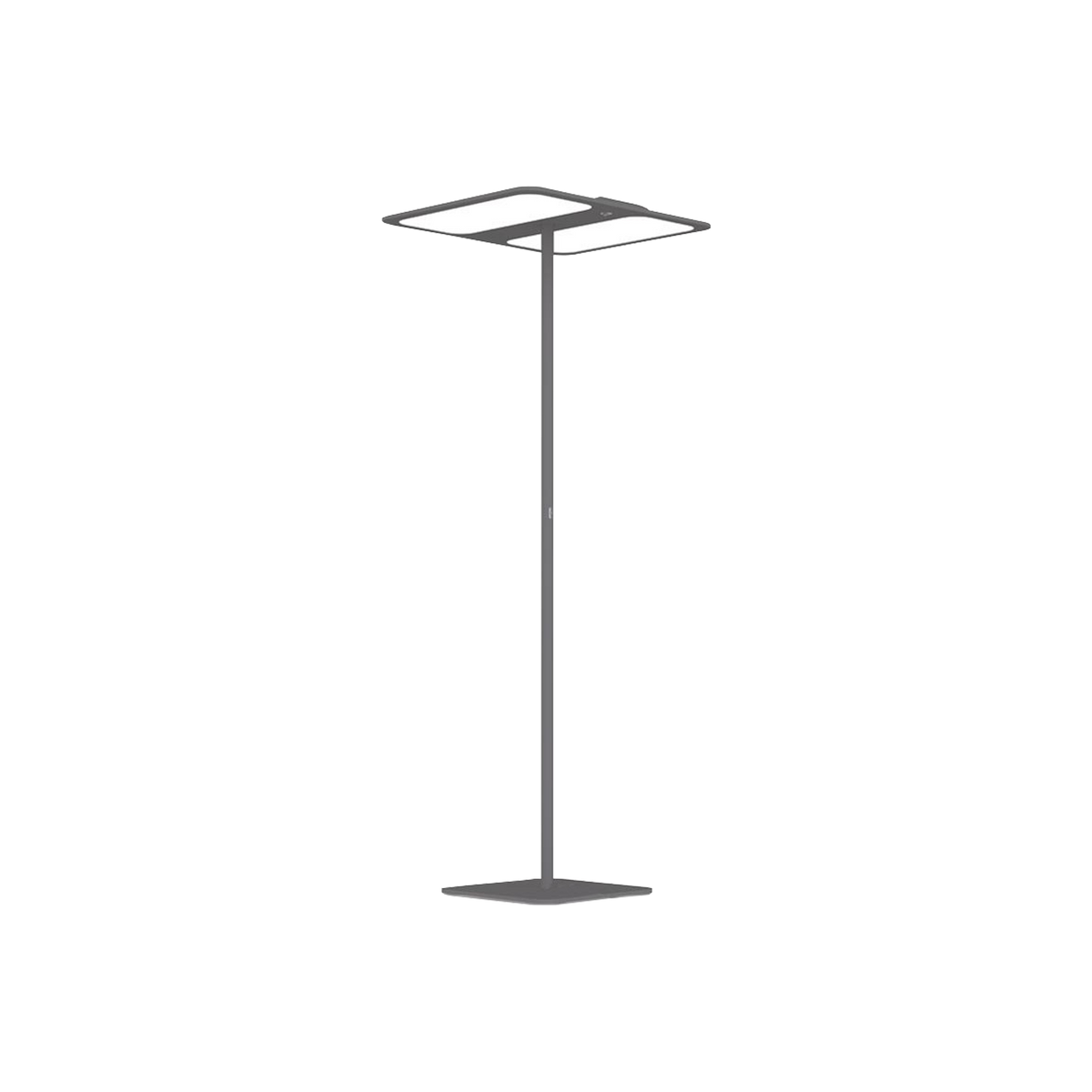 Xt-s Two – GRAU